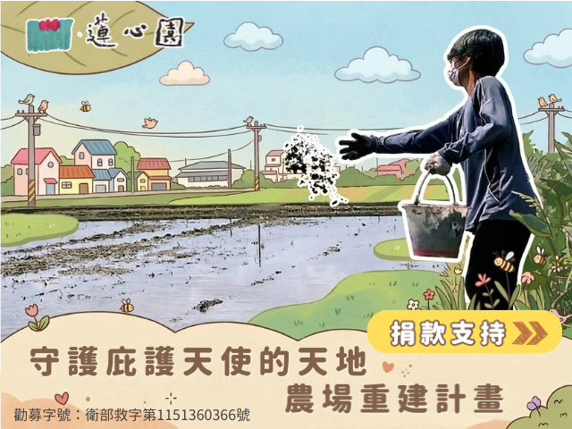 守護庇護天使的天地｜農場重建計畫(標題圖檔)