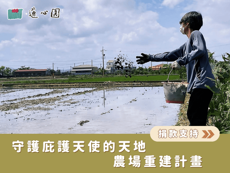 守護庇護天使的天地｜農場重建計畫(標題圖檔)